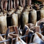 smoked catfish could be a good source of income