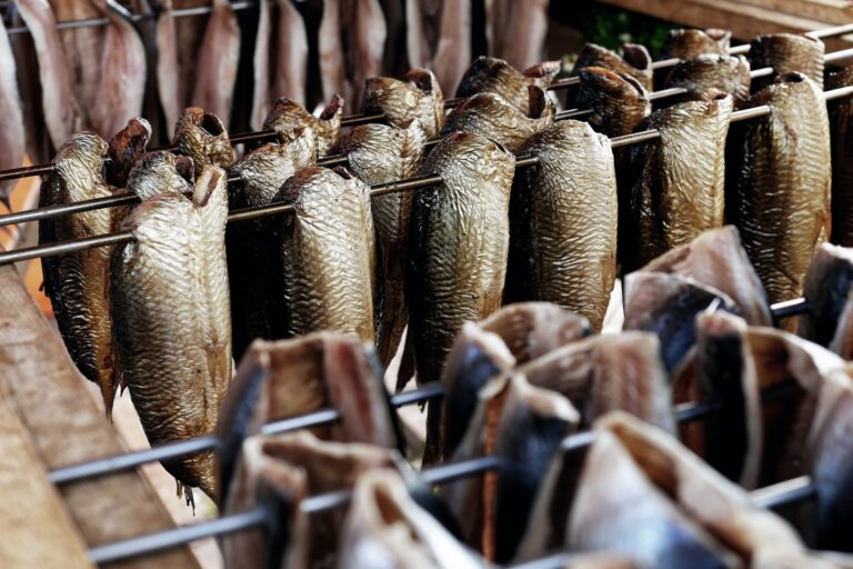 smoked catfish could be a good source of income