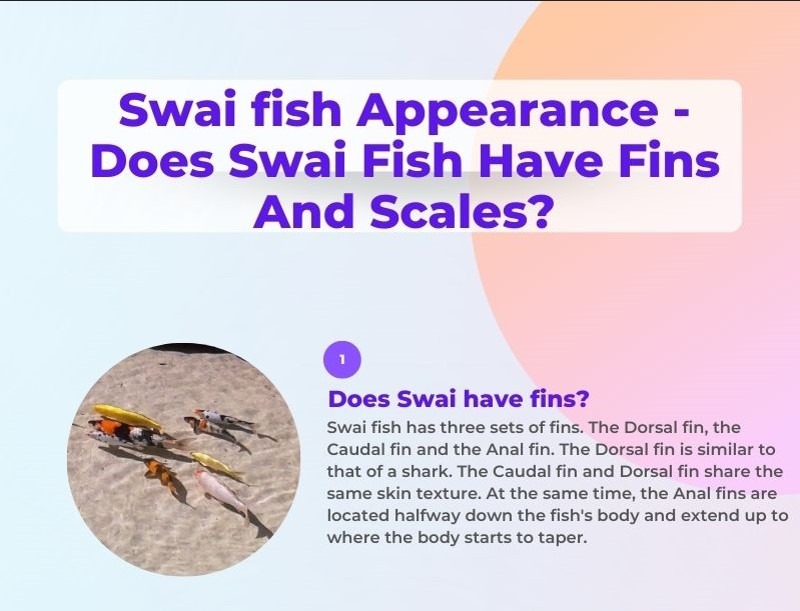 swai fish infographics part 1