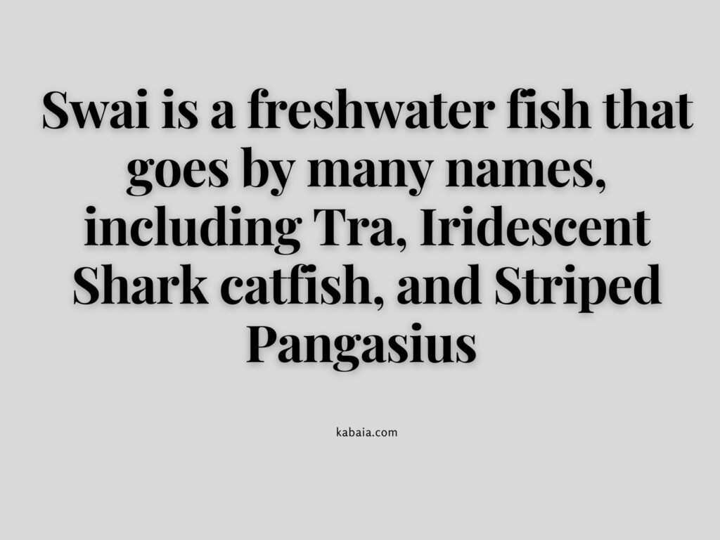 swai fish other names