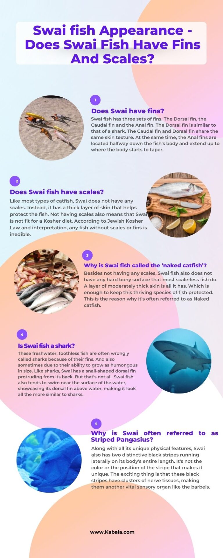 Does Swai Fish Have Fins And Scales? Find Out Now! Kabaia Foods Inc