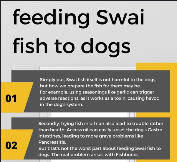 swai fish for dogs infographics2