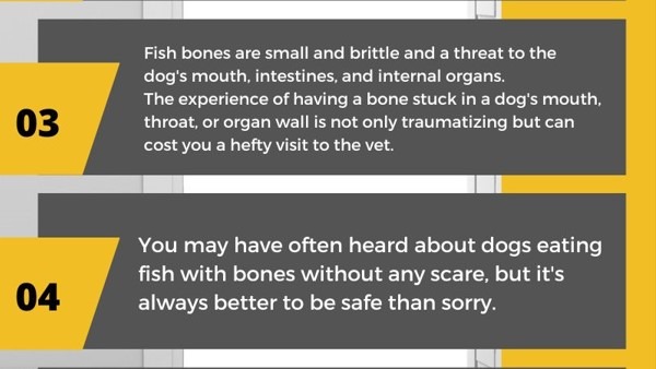 swai fish for dogs infographics3