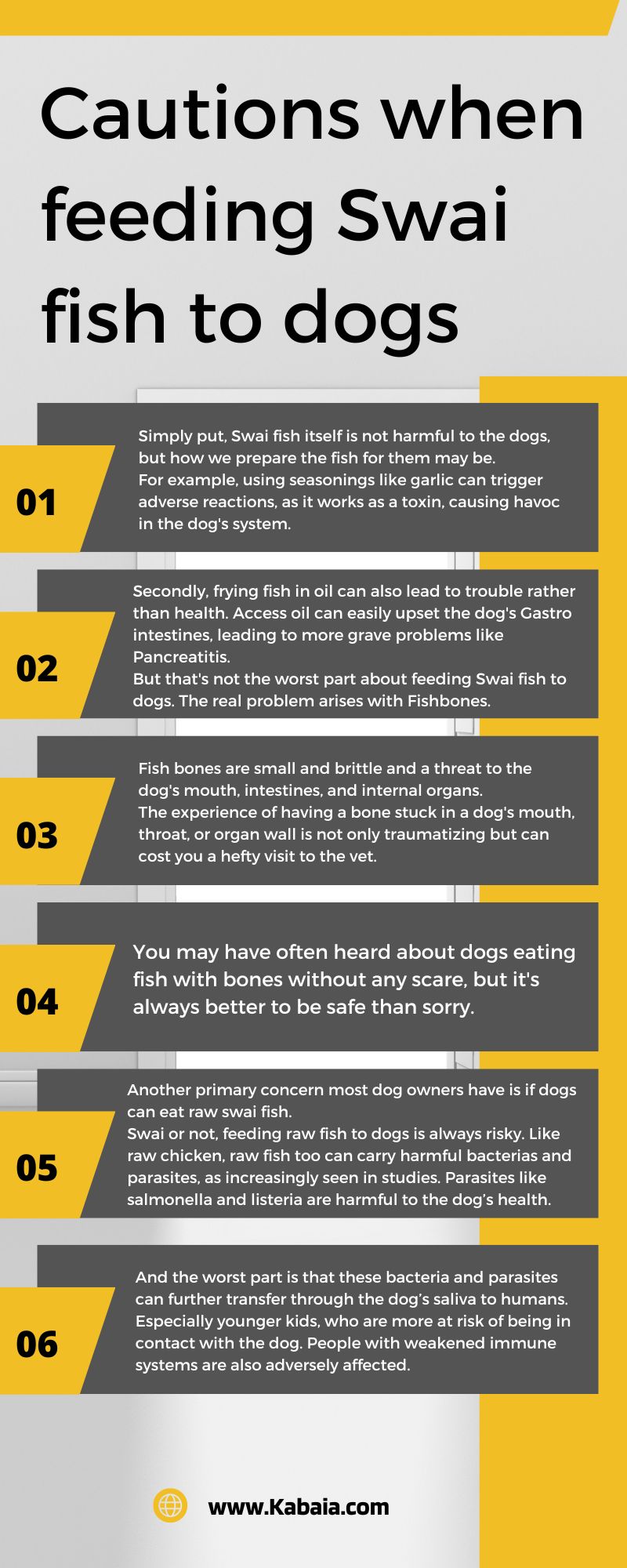 Healthy Dog Treat Is Swai fish For Dogs? Kabaia Foods Inc