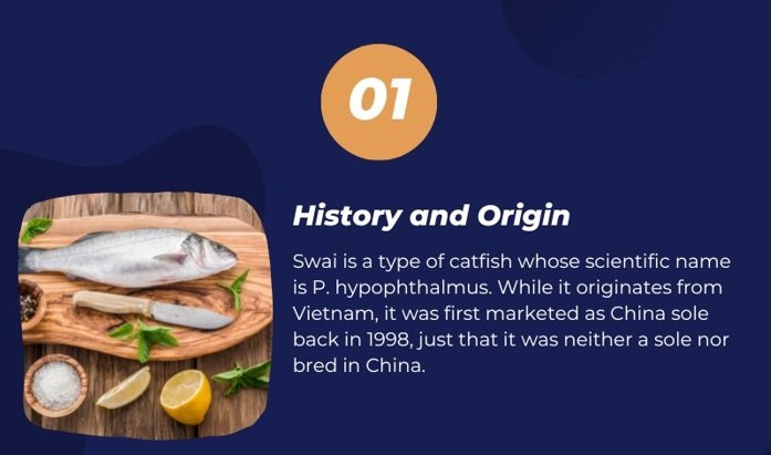 swai fish history and origin1