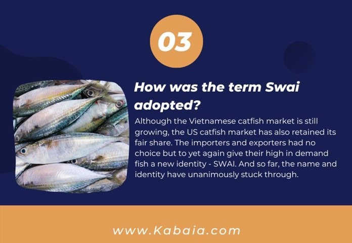 swai fish history and origin3