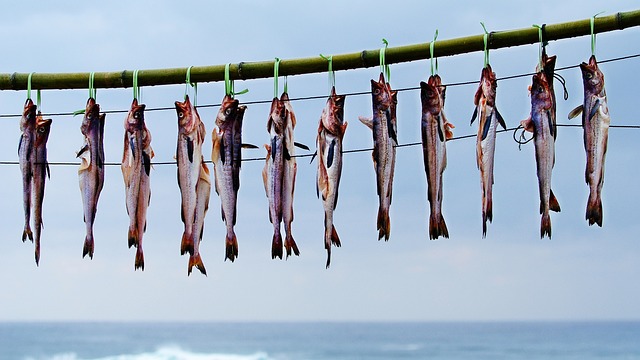 fish drying examples