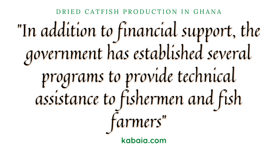 dried catfish production in ghana banner
