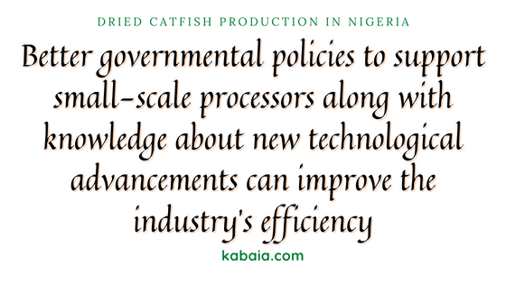 the government has a role to play in the production of dried catfish in nigeria