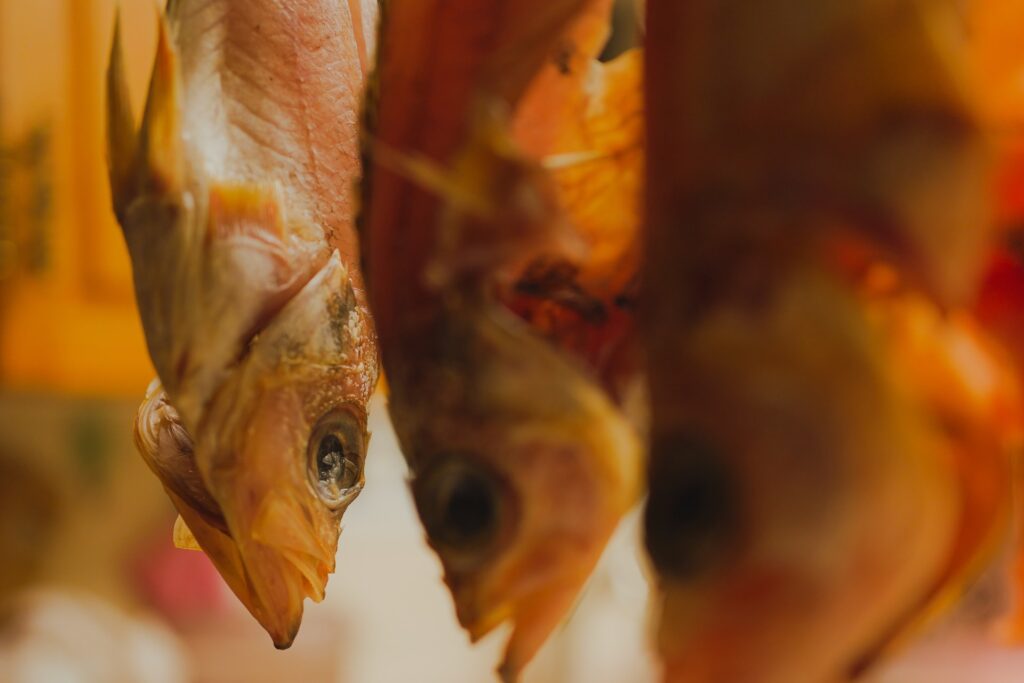 Here Are Dried Catfish Uses That Will Shock You! Kabaia Foods Inc