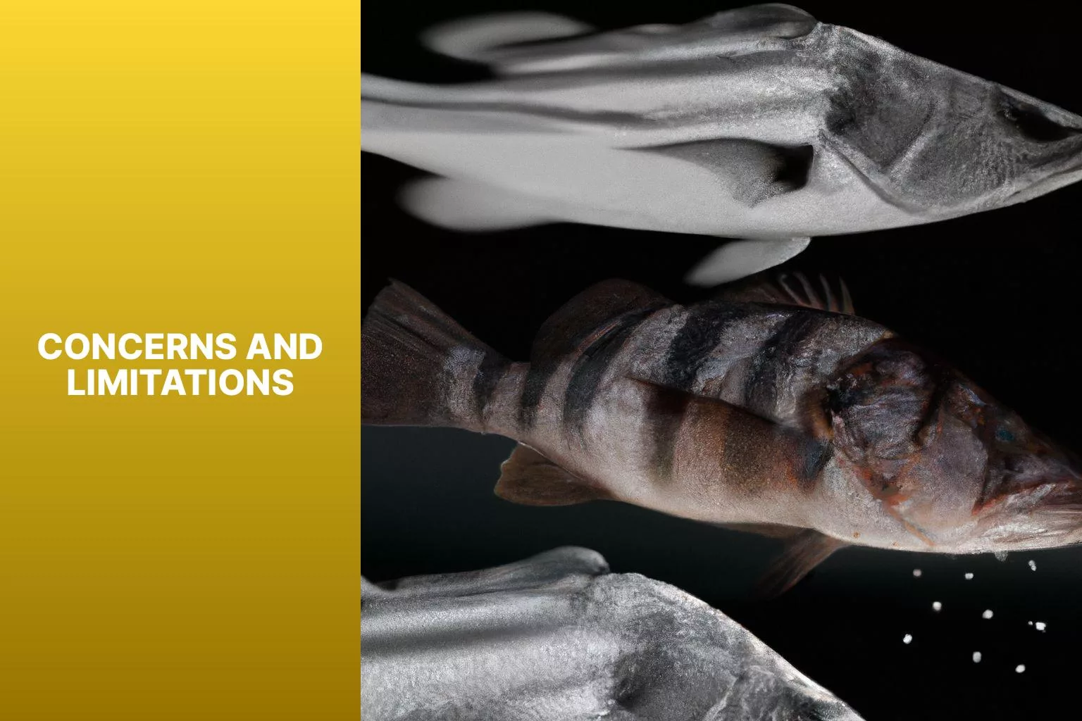 Concerns and Limitations - swai fish vs sea bass 